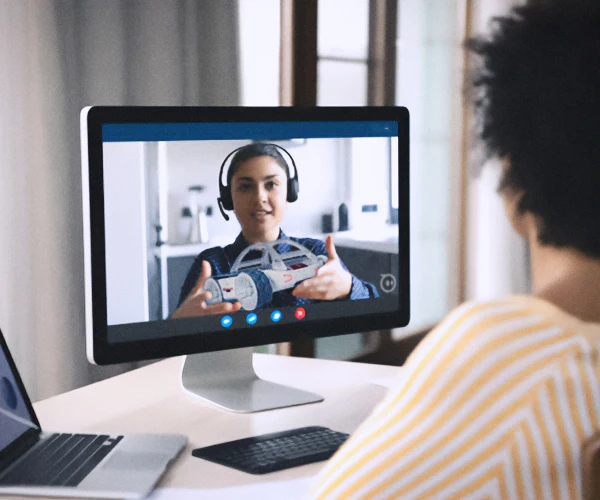 1/2 Day Virtual Professional Development